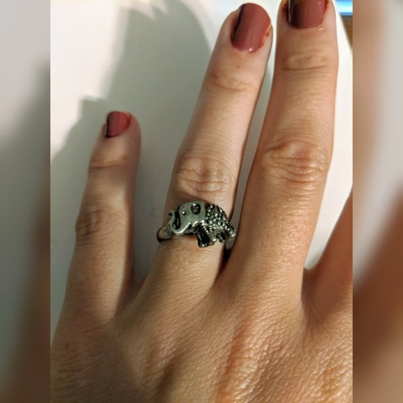 Elephant Ring - Picture 7 of 8